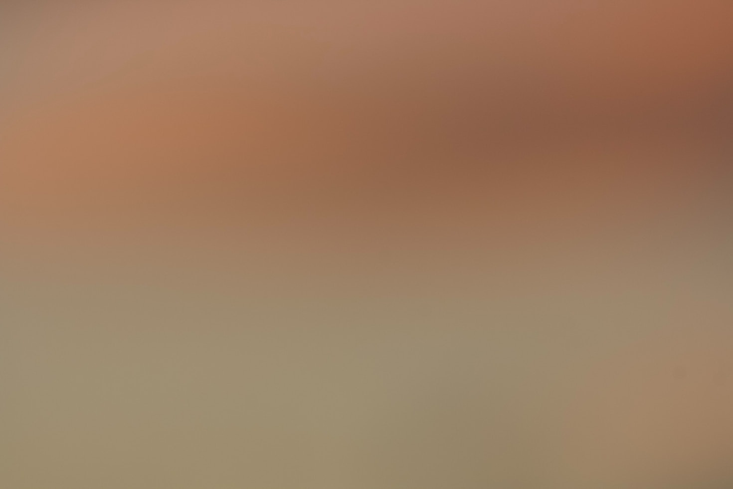 Mengungkap Rahasia Estetika Sederhana yang Memikat